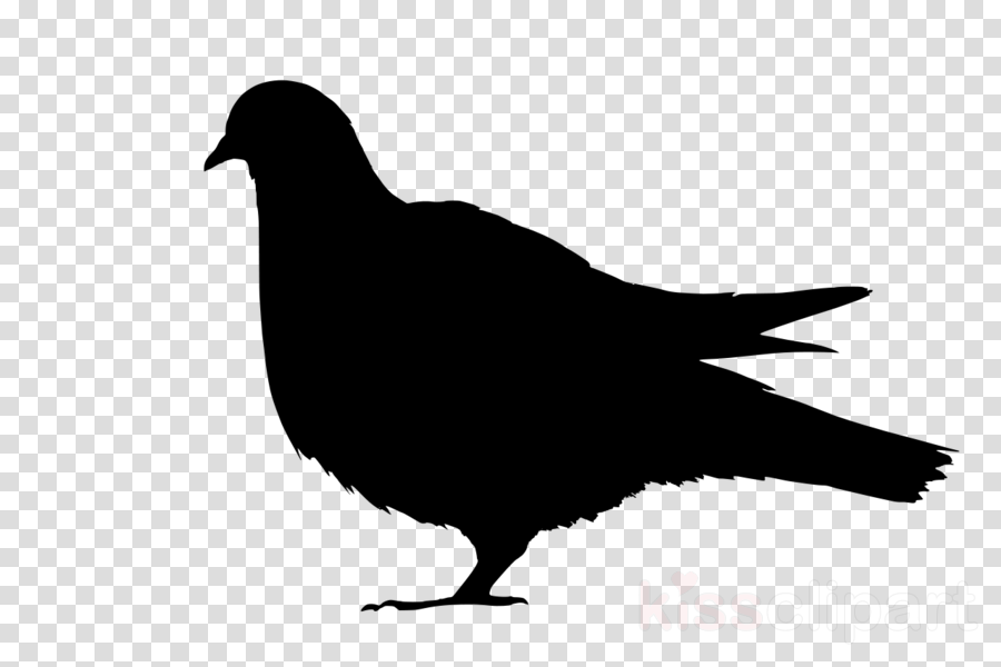 Christmas Decorations No Background Clipart Christmas - Basketball Transparent Background Black (900x600), Png Download