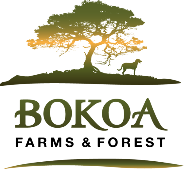 Bokoa Farms Is A Veteran-owned, Family Farm And Forest - Bokoa Farms And Forest (600x552), Png Download