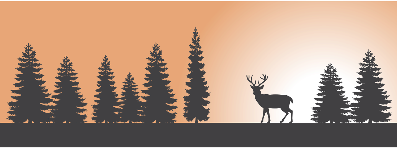 Forest, Forest Sunset Deer Nature Landscape Scenic - Deer Forest Silhouette (1280x640), Png Download