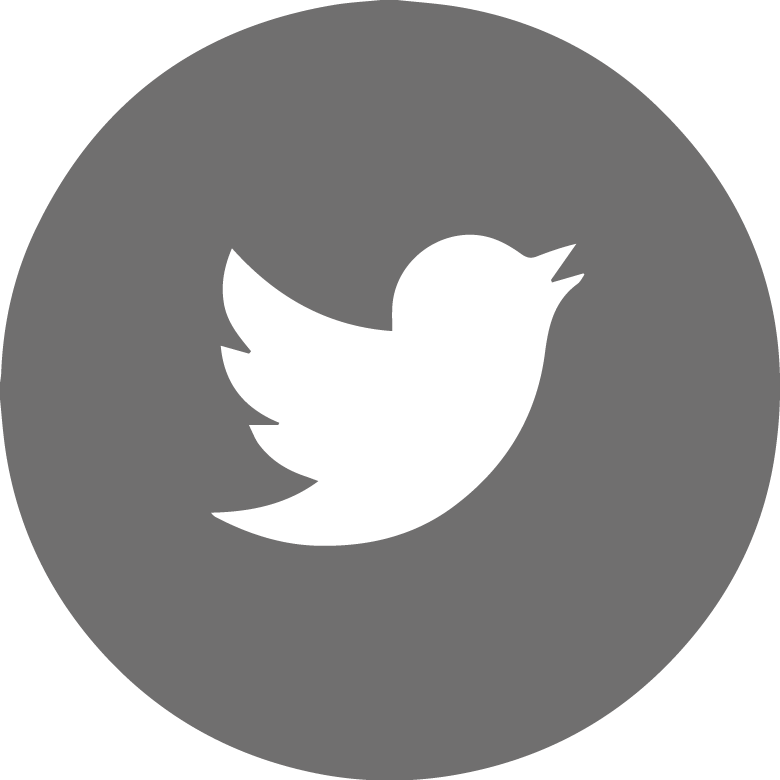 @zapandgo - Twitter Logo Vector Red (780x780), Png Download