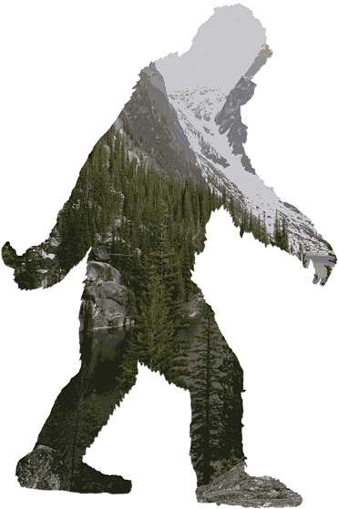 Bleed Area May Not Be Visible - Bigfoot (500x700), Png Download