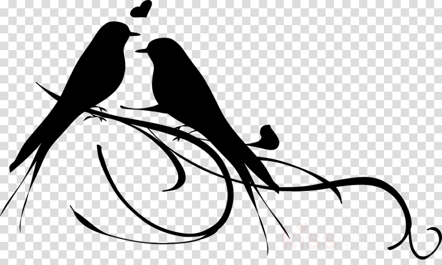 Love Bird On Branch Silhouette Clipart Lovebird Clip - Bird On Brabch Silhouette (900x540), Png Download