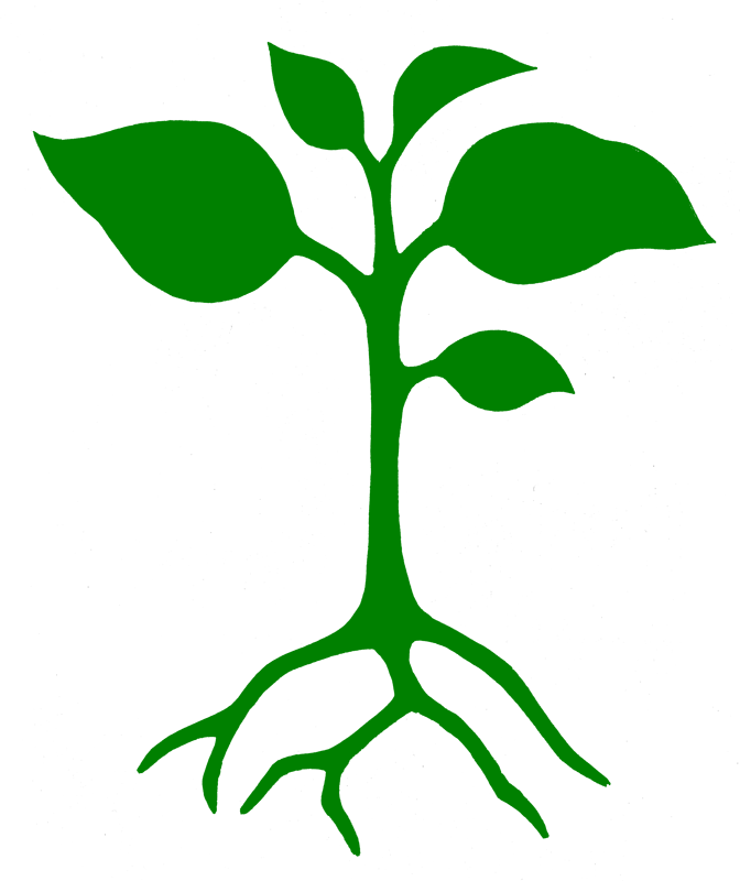 Master - Plant Growing Stencil (672x800), Png Download