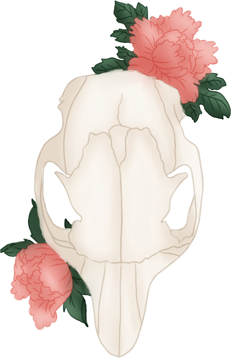 Two New T-shirt Designs Available On My Redbubble And - Squirrel (835x1920), Png Download