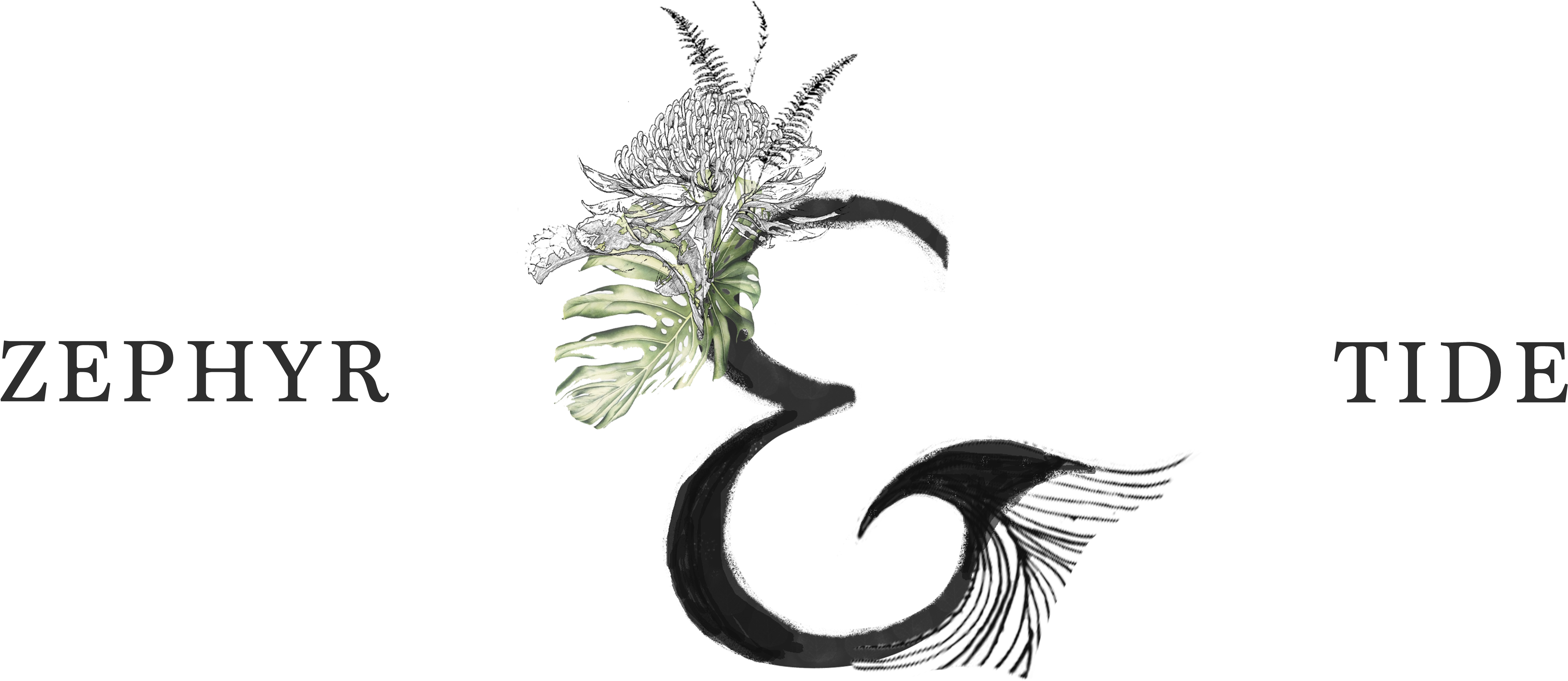 Our Story - Tide (4800x2331), Png Download