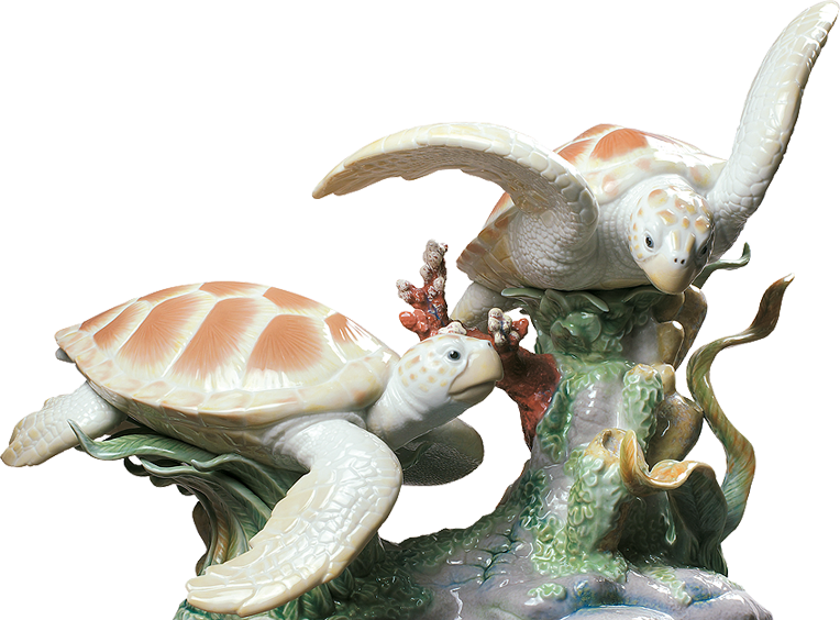 Tortugas 2 (764x564), Png Download