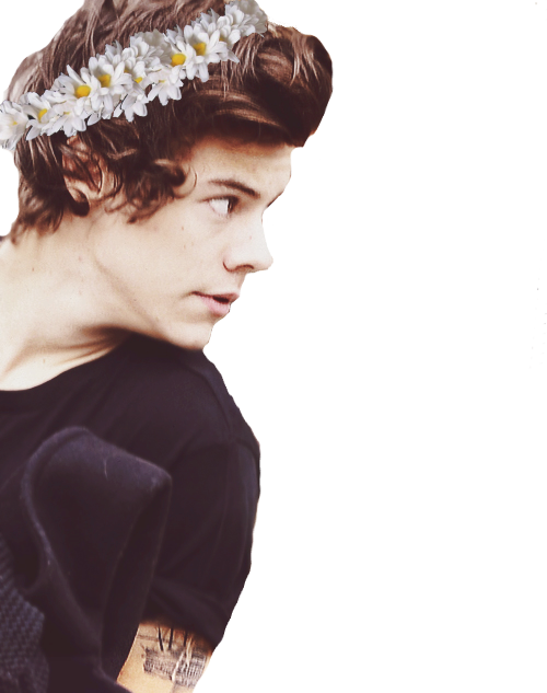 Harry Styles, Harry, And Styles Image - Harry Styles (500x633), Png Download