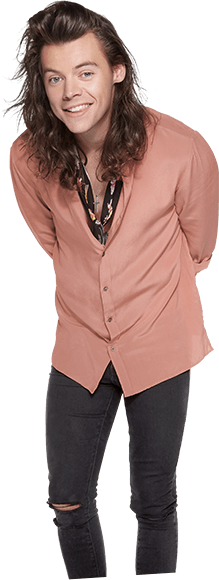 Toyota Shoot 3 - Harry Style Now Stand (219x580), Png Download