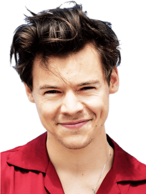 Music Stars - Harry Styles Camisa Roja (500x673), Png Download