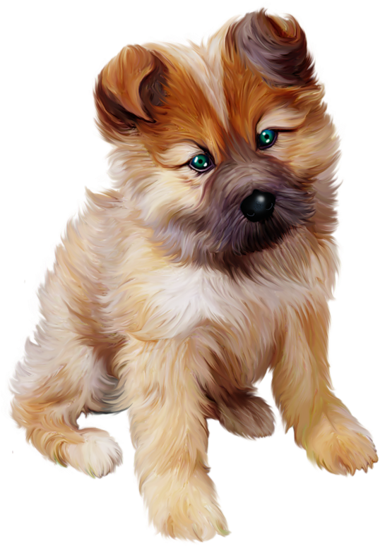 Puppy Png (553x787), Png Download