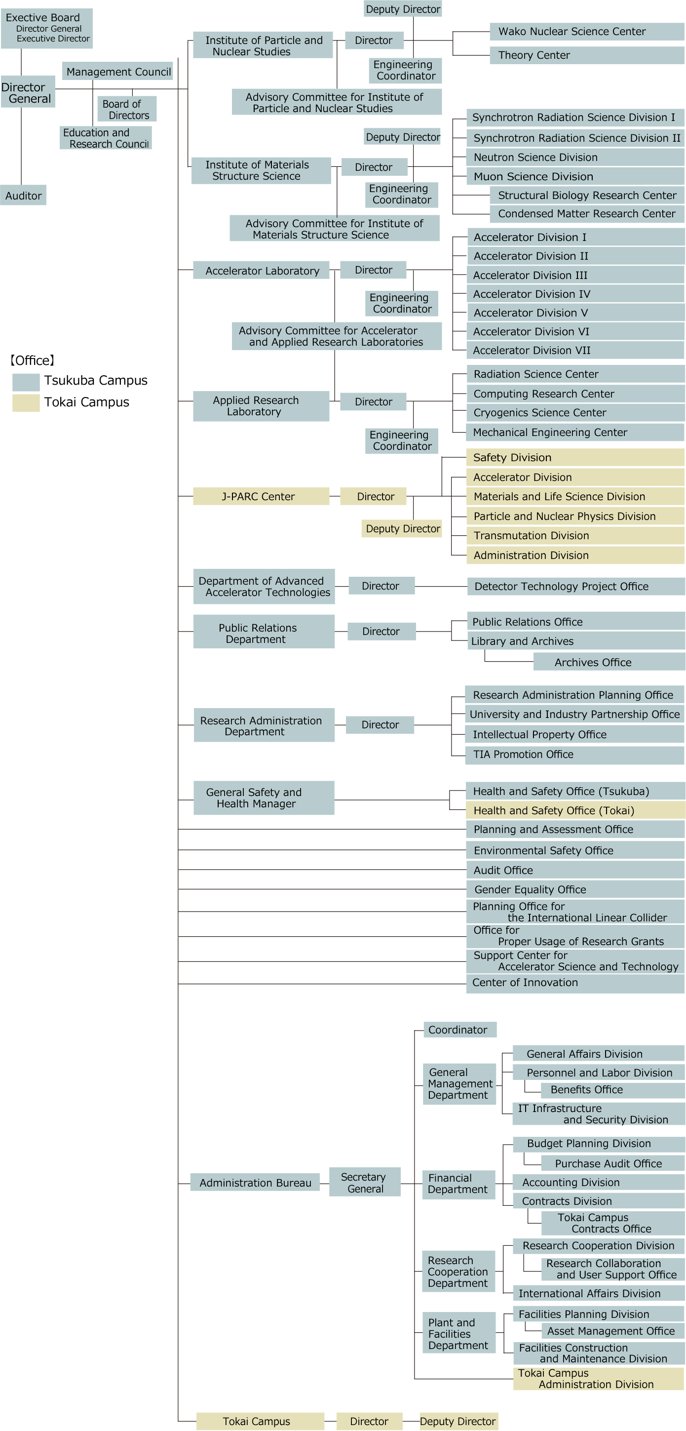 Organization (1390x2898), Png Download