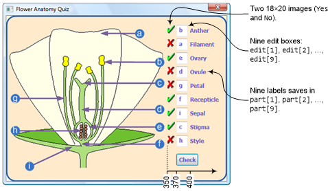 The Program Compares The User's Answers With The Correct - Biology (484x279), Png Download