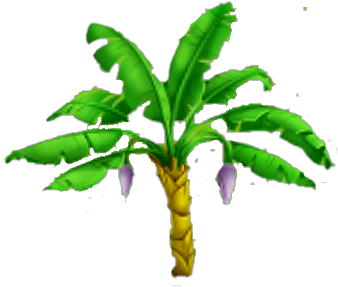Banana Tree Stage 1 - Png Images Of Banana Tree (423x379), Png Download