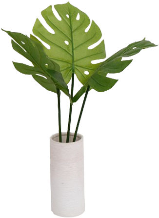 Vase With Plant Png (350x496), Png Download