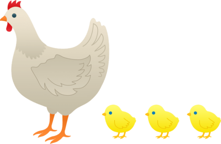 Mother Hen And Baby Chicks - Hen And Chicks Clipart (550x360), Png Download