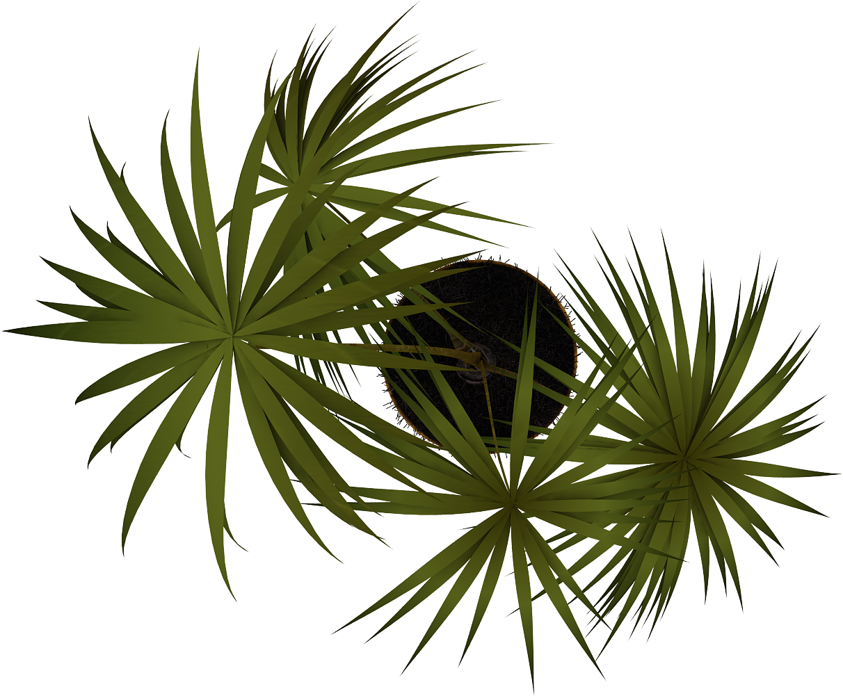 Free Png Plant Png Images Transparent - Vegetación En Planta Png (480x480), Png Download