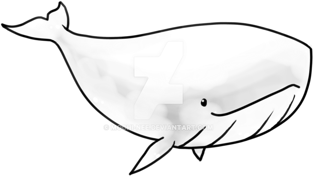 Transparent Whale By Eiocia On Deviantart - Blue Whale (1024x768), Png Download