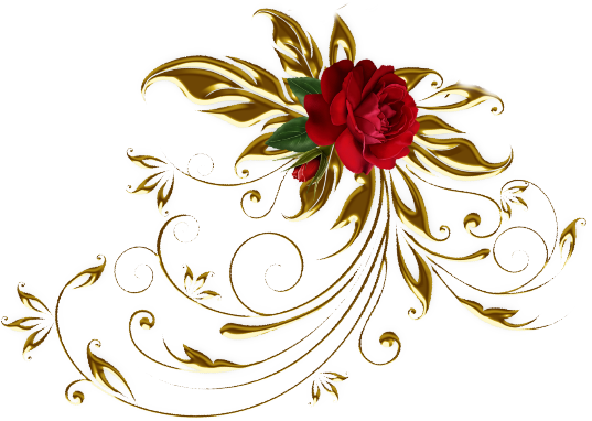 Visit (537x382), Png Download