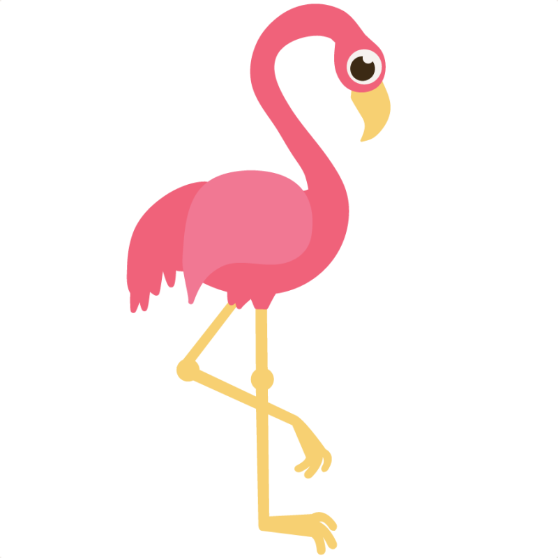 Collection Of High Cute - Flamingo Clip Art Png (800x800), Png Download