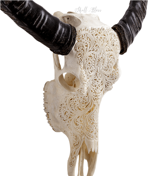 Carved Buffalo Skull - Xl Horns (600x600), Png Download