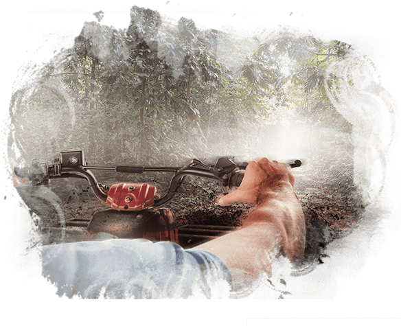 Enter The Mayan Jungle - Boca Del Puma (583x482), Png Download