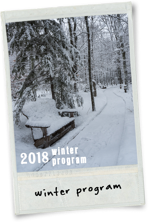 The - Snow (550x765), Png Download