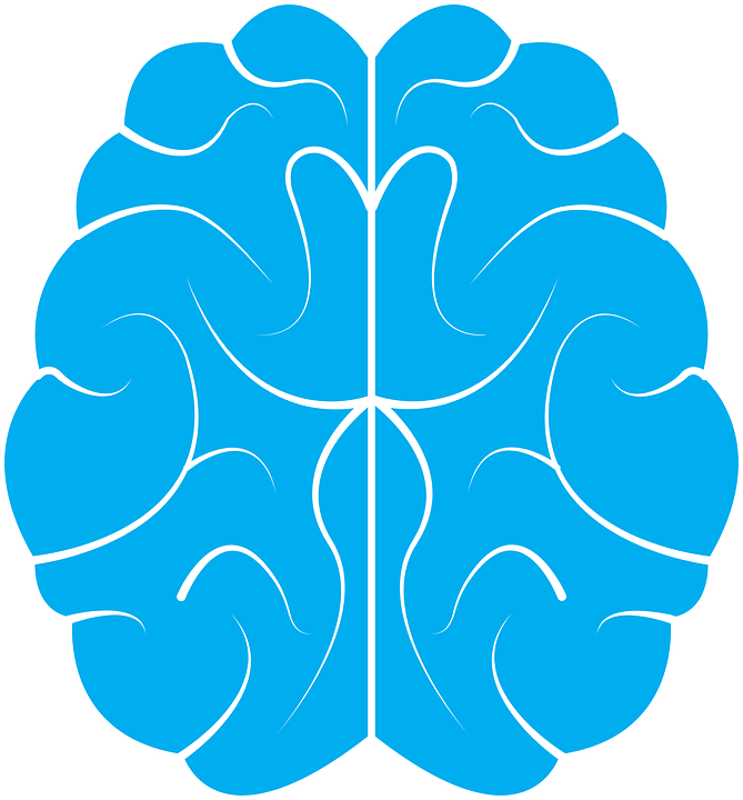 Clipart Brain Transparent Background - Cerveau Icone (669x720), Png Download