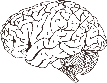 Clip Black And White Library Images Of Brains Spacehero - Brain Black And White No Background (440x339), Png Download
