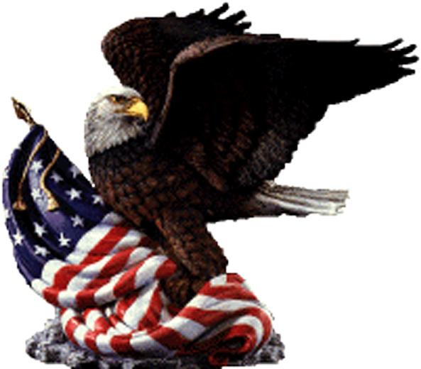Adams Elementary - American Flag Eagle Clip Art (600x520), Png Download