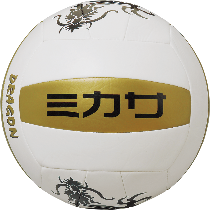 Vxs-dr3 - Volleyball (1000x1000), Png Download