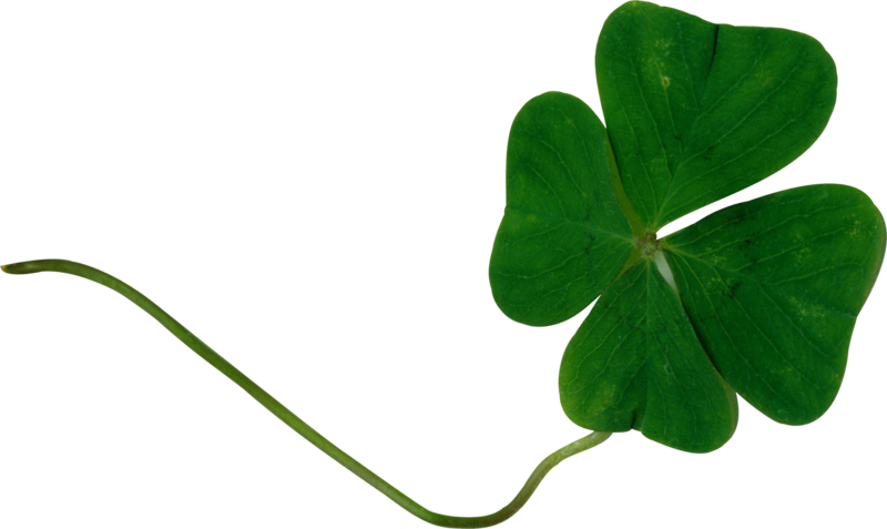 Patrick's Day Png - Portable Network Graphics (800x477), Png Download