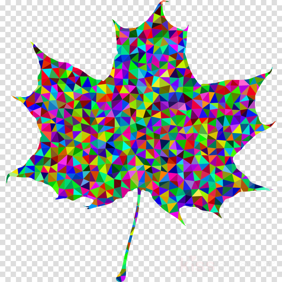 Rainbow Maple Leaf Png Clipart Maple Leaf Clip Art - 生日 快樂 獅子座 (900x900), Png Download