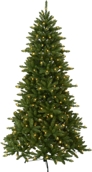 Christmas Tree W Led Minnesota - Fir Christmas Tree (600x600), Png Download