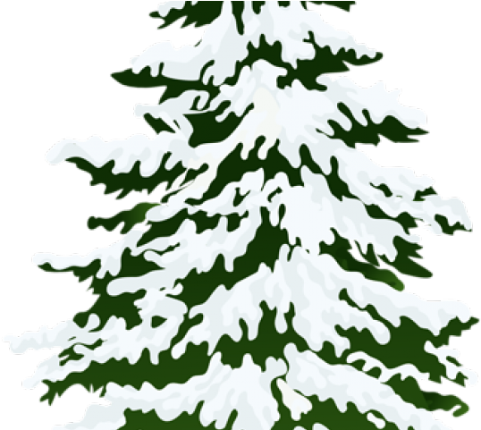 Pine Tree Clipart Leaf - Pine Tree With Snow Clip Art (640x480), Png Download
