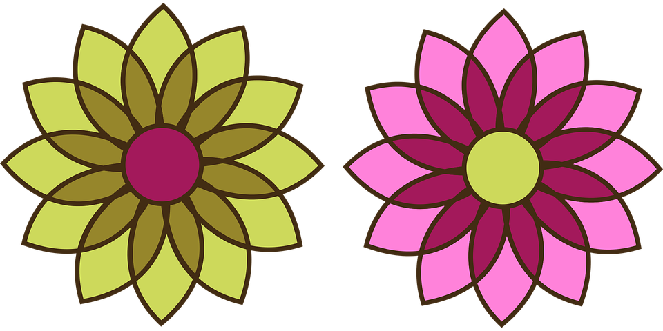Chrysanthemum Clipart Flower Blossom - Johnson Pump Impeller Kit (960x480), Png Download