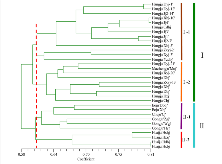 Relationships Among Chrysanthemum Morifolium Varieties - .org (850x628), Png Download