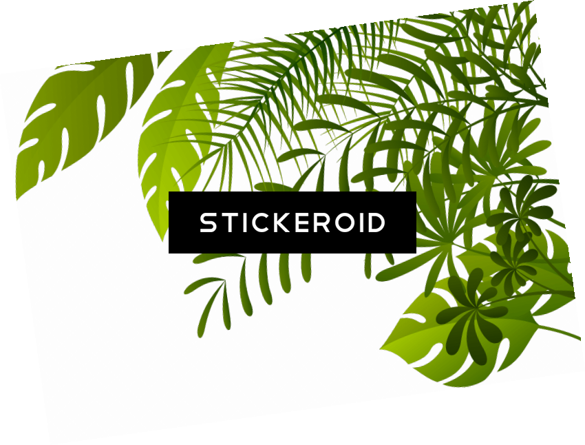 Jungle Tree Nature - Illustration (850x646), Png Download