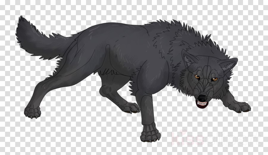 Drawing Clipart Whiskers Coyote Black Cat - Vinyl Record With No Background (900x520), Png Download