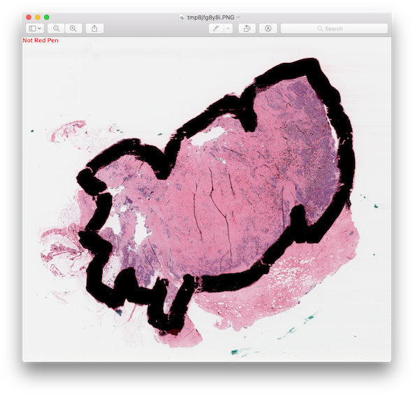 Not Red Pen, Red Pen - Illustration (600x572), Png Download