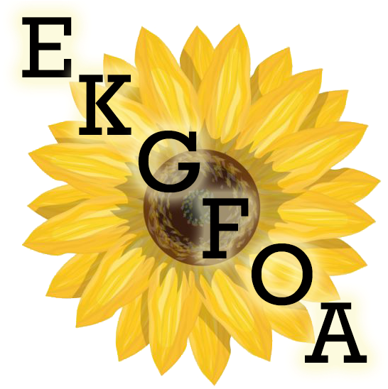 Sunflower Vector Png (571x572), Png Download