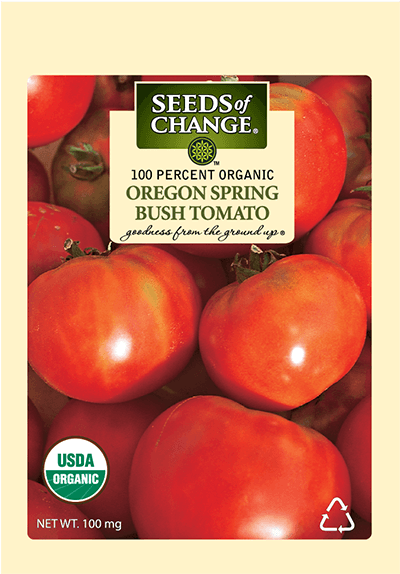 Organic Oregon Spring Tomato Seeds - Seeds Of Change (573x573), Png Download