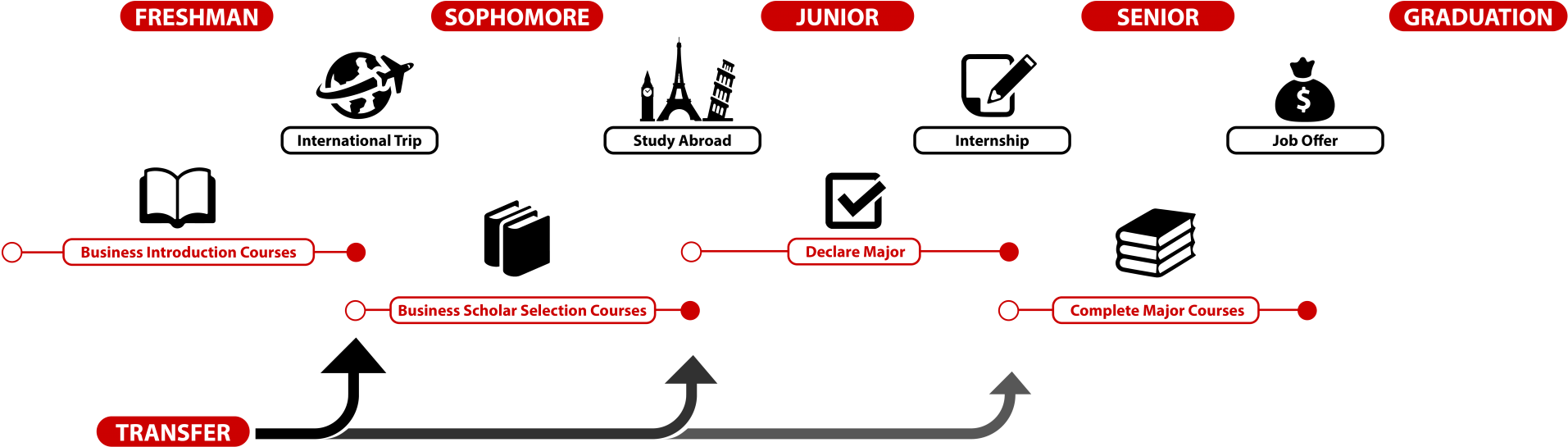 Curriculum - Diagram (2000x608), Png Download
