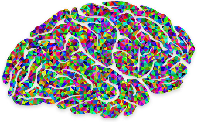 The Next Level In Your Meditation - Magnetite In Humans Brain (700x450), Png Download