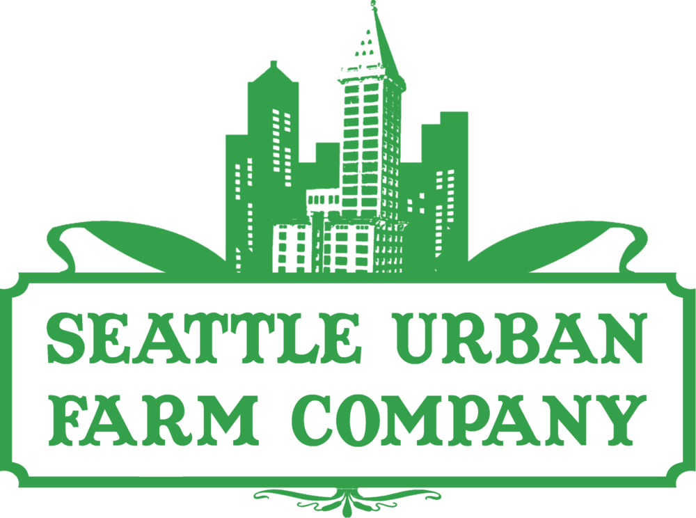Seattle Skyline Png (1000x744), Png Download