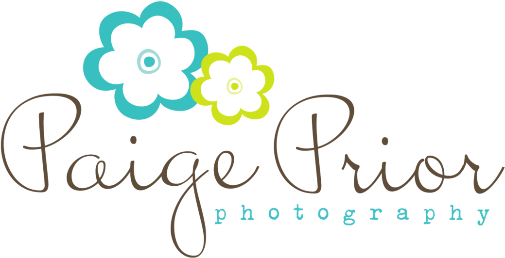 Paige Prior Photography - Graphic Design (1200x1200), Png Download