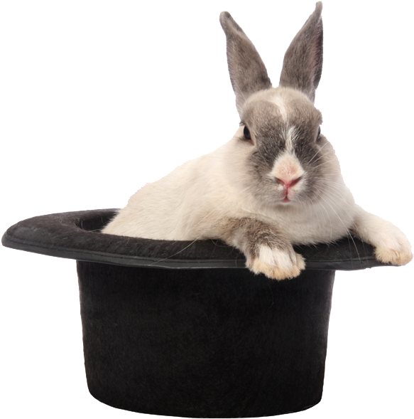 Rabbit Hat Png Image - Domestic Rabbit (950x633), Png Download