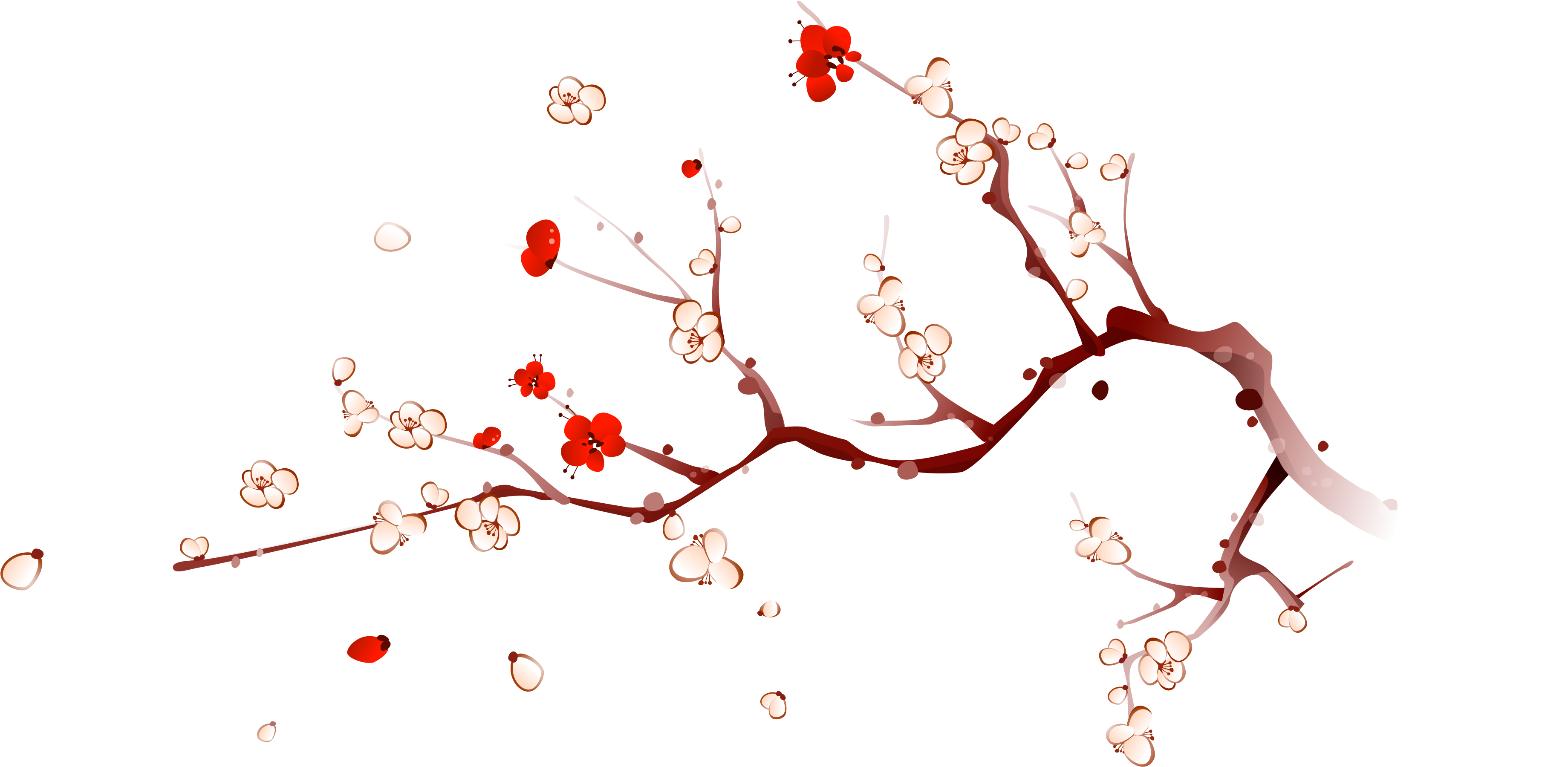 素材 元宵 節 (4000x3000), Png Download