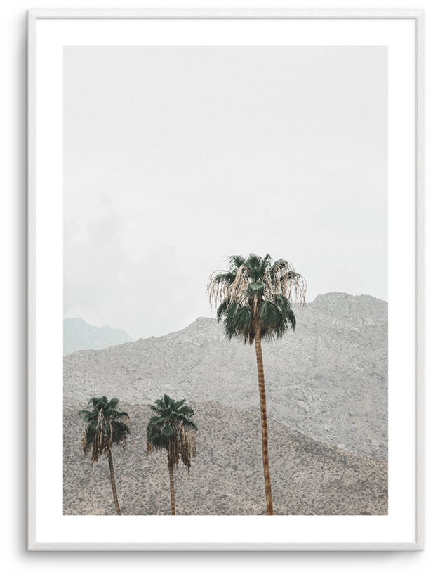 Mountains Of Palm Springs - Palm Springs (812x1023), Png Download