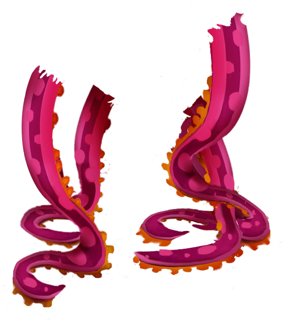 Junkyard Zombiez Munkill Pinkoctopusarms - Octopus (588x657), Png Download