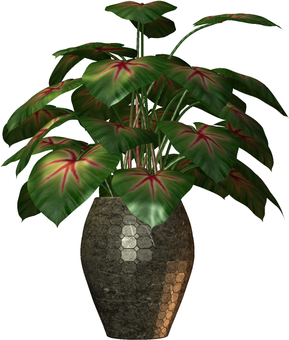 Flower Plants, Potted Plants, Yandex, Random Stuff, - Flower With Pot Png (900x768), Png Download